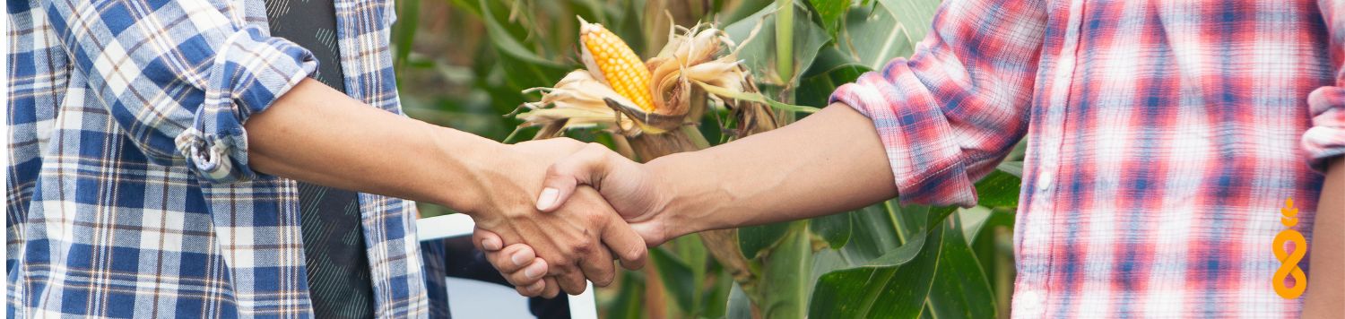 Farmers shaking hands in front of crops