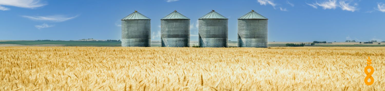 Grain Bins overlooking a wheat field on a summer day