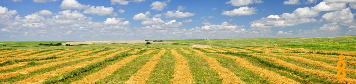 Saskatchewan wheat field, on a summers day, following harvest