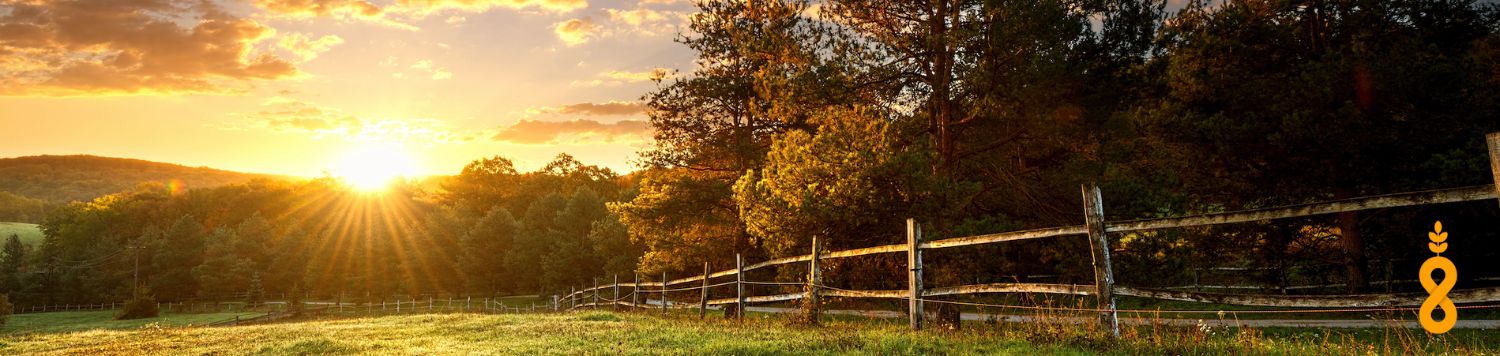 The fenceline on farmland at sunrise